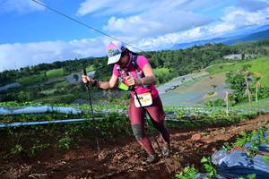 BIB: 
                            <button type="button" onclick="openModal(13381633)" class="btn btn-primary btn-sm float-right btn-popup" data-toggle="modal" data-target=".modal-high-quality">
                        <i class="fas fa-shopping-cart"></i> Add to Cart
                    </button>
                                            <button type="button" onclick="isThisMe(13381633, true)" class="btn btn-success btn-sm float-right btn-popup btn-isme hidden" data-toggle="tooltip" data-placement="bottom" title="นี่คือรูปของคุณใช่ไหม คลิกที่นี่เพื่อเอาเข้าอัลบั้ม">
                        <i class="fas fa-plus"></i> Add to album
                    </button>
                    <button type="button" onclick="isThisMe(13381633, false)" class="btn btn-warning btn-sm float-right btn-popup btn-isnotme hidden">
                        <i class="fas fa-ban"></i> Remove from album
                    </button>